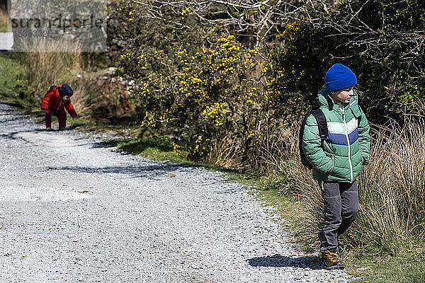 Jungen erkunden den Nationalpark  Llanaber  Gwynedd  Vereinigtes Königreich