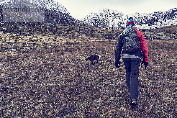 Männlicher Wanderer und Hund beim Wandern durch eine raue Landschaft mit schneebedeckten Bergen  Rückansicht  Llanberis  Gwynedd  Wales