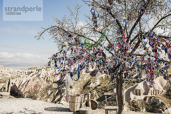 Evil-Eye-Baum  Taubental  GÃ¶reme  Kappadokien  TÃ?rkei