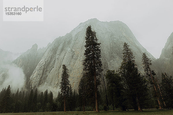 Nebel über Bergen und Wäldern  Yosemite National Park  Kalifornien  Vereinigte Staaten