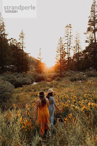 Zwei Frauen in Maxikleidern gehen bei Sonnenuntergang im ländlichen Tal durch Wildblumen  Rückansicht  Mineral King  Kalifornien  USA