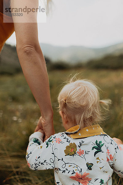 Mutter hält die Hand eines Kleinkindes in einem ländlichen Tal  Rückansicht beschnitten  Mineral King  Kalifornien  USA