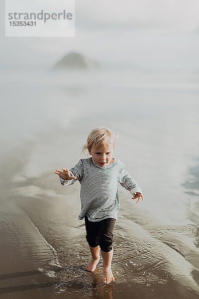 Kleinkind geht am Strand spazieren  Morro Bay  Kalifornien  Vereinigte Staaten