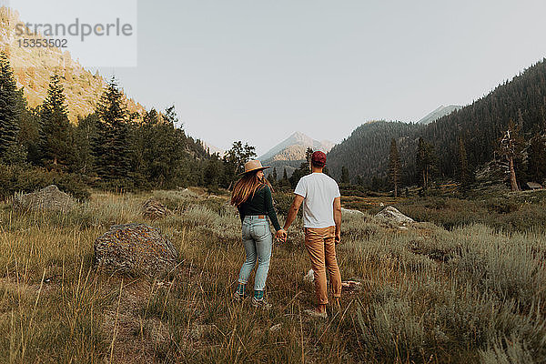 Junges Paar hält Händchen im ländlichen Tal  Rückansicht  Mineral King  Kalifornien  USA