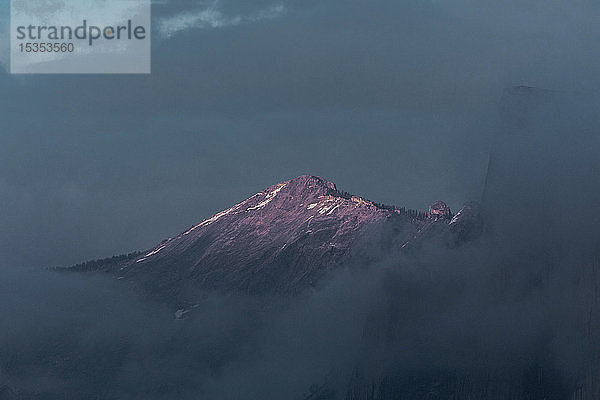 Wolkenteppich um den Berg  Yosemite National Park  Kalifornien  Vereinigte Staaten