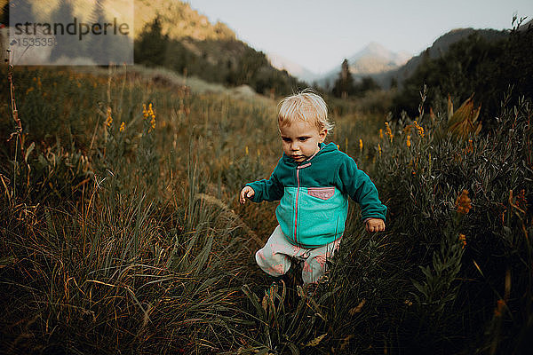 Weibliches Kleinkind watschelt zwischen langen Gräsern im ländlichen Tal  Mineral King  Kalifornien  USA