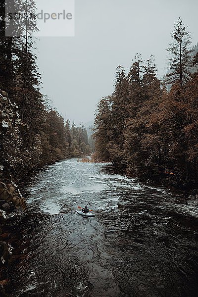 Kajak fahrender Mann im Fluss  Yosemite National Park  Kalifornien  Vereinigte Staaten