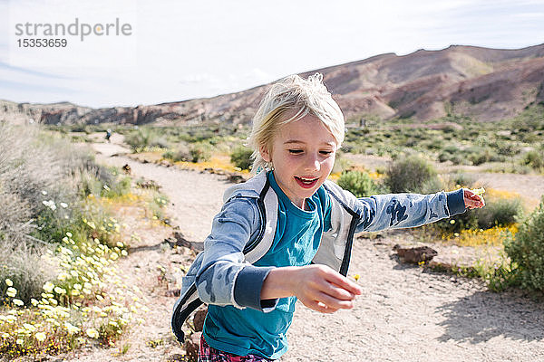 Junge rennt mit Blume in der Hand  Red Rock Canyon  Cantil  Kalifornien  Vereinigte Staaten