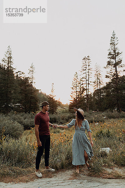 Romantisches junges Paar hält Händchen im ländlichen Tal  Mineral King  Kalifornien  USA