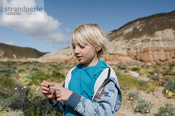 Junge mit Kaktusrückgrat  Red Rock Canyon  Cantil  Kalifornien  Vereinigte Staaten