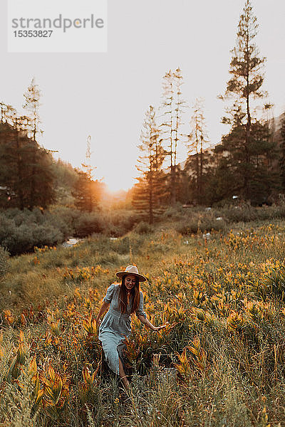 Junge Frau im Maxikleid und Stetson spaziert bei Sonnenuntergang durch Wildblumen im ländlichen Tal  Mineral King  Kalifornien  USA