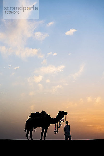 Für Ausritte dekorierte Kamele bei Sonnenuntergang in der Wüste; Rajasthan  Indien