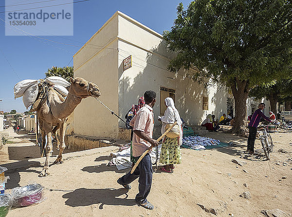 Eritreisches Volk und Kamel auf dem Markt; Keren  Region Anseba  Eritrea