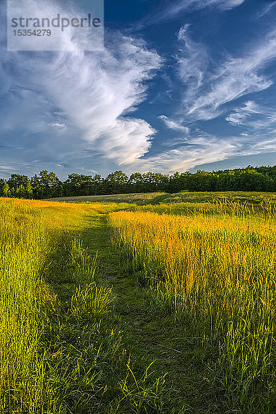 Feldweg und später Tageshimmel  Oakfield  Nova Scotia