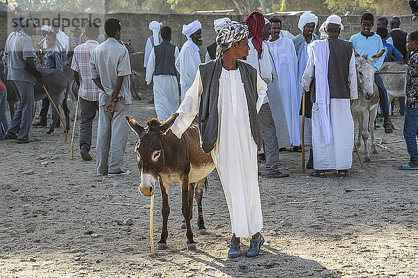 Mann und sein Esel auf dem montäglichen Viehmarkt; Keren  Region Anseba  Eritrea