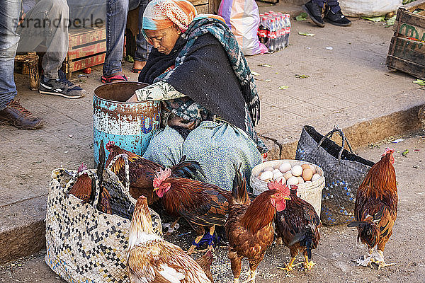 Eritreische Frau verkauft Hühner auf dem Markt der Eingeborenen; Asmara  Zentralregion  Eritrea