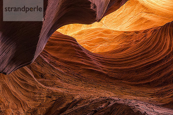 Slot Canyon bekannt als Canyon X  in der Nähe von Page; Arizona  Vereinigte Staaten von Amerika