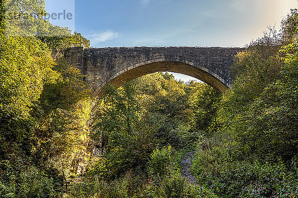 Eine alte Steinbogenbrücke führt über eine bewaldete Schlucht; Washington  Tyne and Wear  England