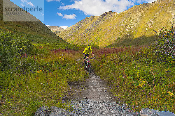 Ein Mann fährt mit seinem Mountainbike auf dem Devil's Pass Trail an einem sonnigen Sommertag in Süd-Zentral-Alaska; Alaska  Vereinigte Staaten von Amerika