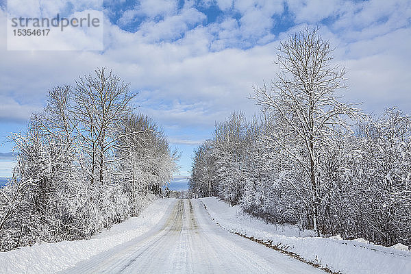 Landstraße im Winter mit schneebedeckten Bäumen; Thunder Bay  Ontario  Kanada