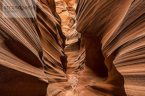 Slot Canyon bekannt als Mountain Sheep Canyon; Page  Arizona  Vereinigte Staaten von Amerika