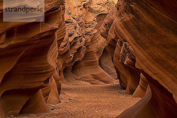 Slot Canyon bekannt als Owl Canyon  in der Nähe von Page; Arizona  Vereinigte Staaten von Amerika