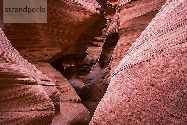 Slot Canyon bekannt als Canyon X  in der Nähe von Page; Arizona  Vereinigte Staaten von Amerika