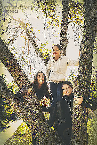 Eine Mutter und ihre beiden Töchter posieren für ein Familienporträt  nachdem sie an einem warmen Herbsttag in einem Stadtpark auf einen Baum geklettert sind; Edmonton  Alberta  Kanada