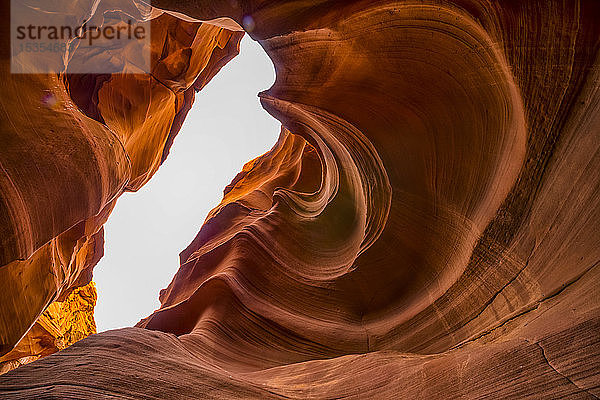 Slot Canyon  bekannt als Owl Canyon; Page  Arizona  Vereinigte Staaten von Amerika