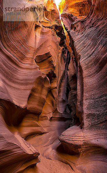 Slot Canyon bekannt als Canyon X  in der Nähe von Page; Arizona  Vereinigte Staaten von Amerika