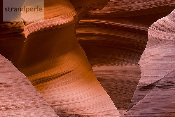 Slot Canyon bekannt als Canyon X  in der Nähe von Page; Arizona  Vereinigte Staaten von Amerika