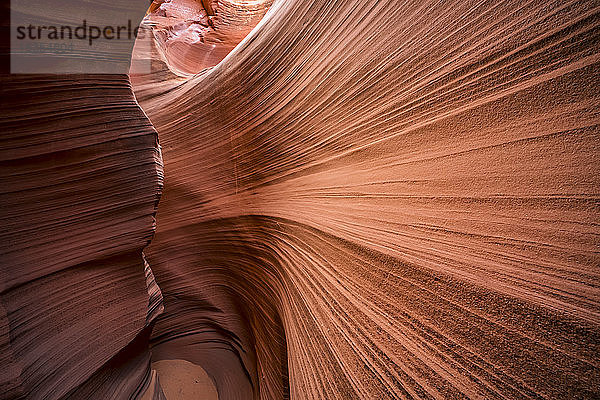 Slot Canyon  bekannt als Rattlesnake Canyon; Page  Arizona  Vereinigte Staaten von Amerika