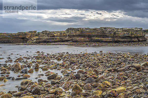 Freiliegende Felsen bei Ebbe an der Küste; Whitburn  Tyne and Wear  England
