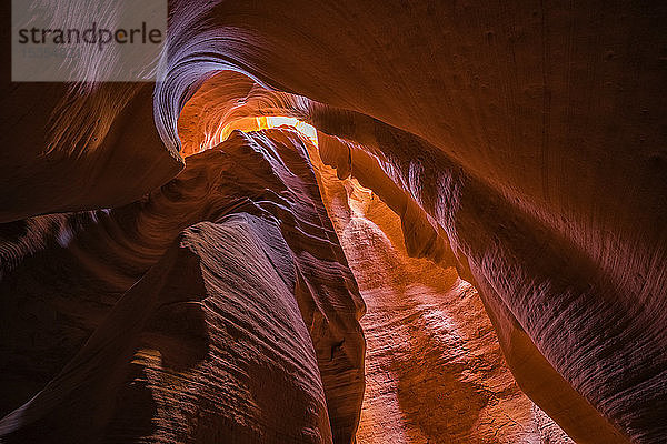 Slot Canyon bekannt als Canyon X  in der Nähe von Page; Arizona  Vereinigte Staaten von Amerika