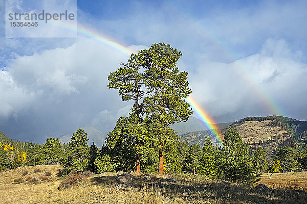 Doppelter Regenbogen mit Gewitterwolken dahinter; Denver  Colorado  Vereinigte Staaten von Amerika