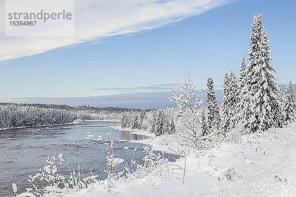 Schneebedeckte Bäume am Fluss Kam im Winter mit strahlend blauem Himmel und Wolken; Thunder Bay  Ontario  Kanada