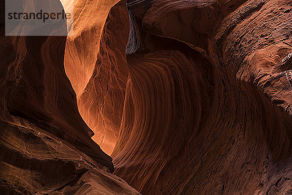 Slot Canyon bekannt als Canyon X  in der Nähe von Page; Arizona  Vereinigte Staaten von Amerika