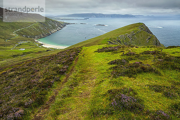 Üppige grasbewachsene Hügel und ein Strand an der Küste Irlands; Irland