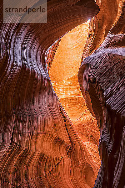 Antelope Canyon  ein Slot-Canyon aus Navajo-Sandstein; Page  Arizona  Vereinigte Staaten von Amerika