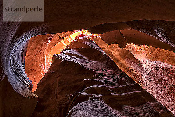 Slot Canyon bekannt als Canyon X  in der Nähe von Page; Arizona  Vereinigte Staaten von Amerika