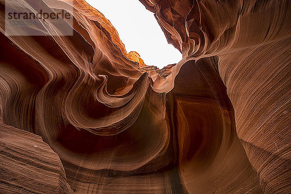 Slot Canyon bekannt als Owl Canyon  in der Nähe von Page; Arizona  Vereinigte Staaten von Amerika