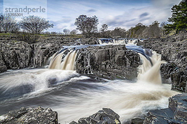 Low Force in Upper Teesdale  Nordengland  wo der Fluss Tees über die Whin Sill stürzt  eine Schicht aus hartem Doleritgestein  die vor 295 Millionen Jahren aus geschmolzenem Gestein entstand; Bowlees  Grafschaft Durham  England