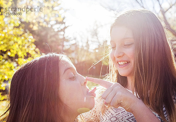 Eine ältere Schwester berührt die Nase ihrer jüngeren Schwester  während diese ihr an einem warmen Herbsttag in einem Stadtpark die Zunge herausstreckt: Edmonton  Alberta  Kanada