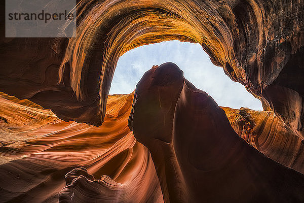 Slot Canyon bekannt als Owl Canyon; Page  Arizona  Vereinigte Staaten von Amerika