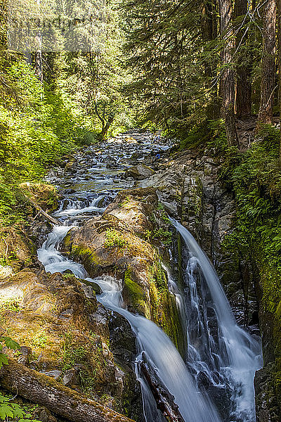 Sol Duc Falls  High Divide Trail  Olympic National Park; Washington  Vereinigte Staaten von Amerika