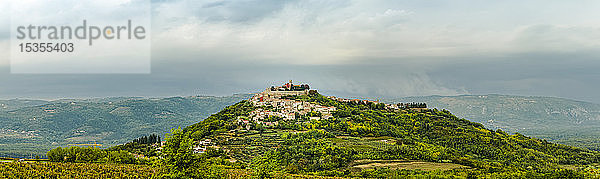 Weinberge rund um die auf einem Hügel gelegene mittelalterliche Stadt Motovun; Motovun  Istrien  Kroatien