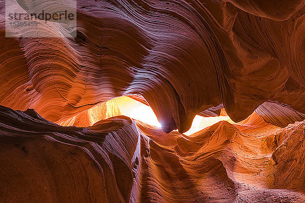 Slot Canyon bekannt als Canyon X  in der Nähe von Page; Arizona  Vereinigte Staaten von Amerika