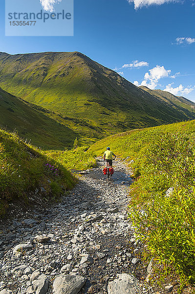 Ein Mann fährt mit seinem Mountainbike auf der Palmer Valley Road in der Nähe von Hope  Alaska  an einem sonnigen Sommertag in Süd-Zentral-Alaska; Alaska  Vereinigte Staaten von Amerika