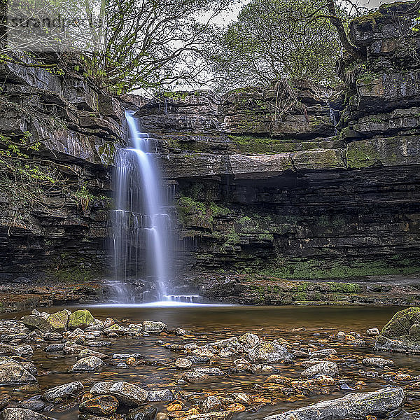 Summerhill Force ist ein malerischer Wasserfall in einer bewaldeten Lichtung in Upper Teesdale. Die stark unterhöhlte Vertiefung hinter dem Wasserfall ist als Gibson's Cave bekannt; Newbiggin  County Durham  England