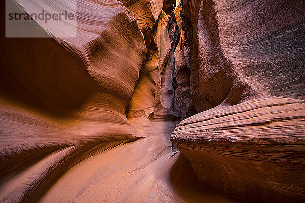 Slot Canyon bekannt als Canyon X  in der Nähe von Page; Arizona  Vereinigte Staaten von Amerika